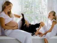 Домашние животные и рождение ребенка: Как подготовить домашнее животное к появлению младенца?