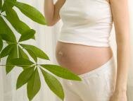 Гомеопатия и беременность: Ведение беременности на гомеопатических препаратах