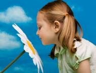 Творчество с детьми: Как украсить цветочные горшки?
